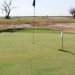 Green and Gold Golf Turn. 036 Green and Gold Golf Turn. 036